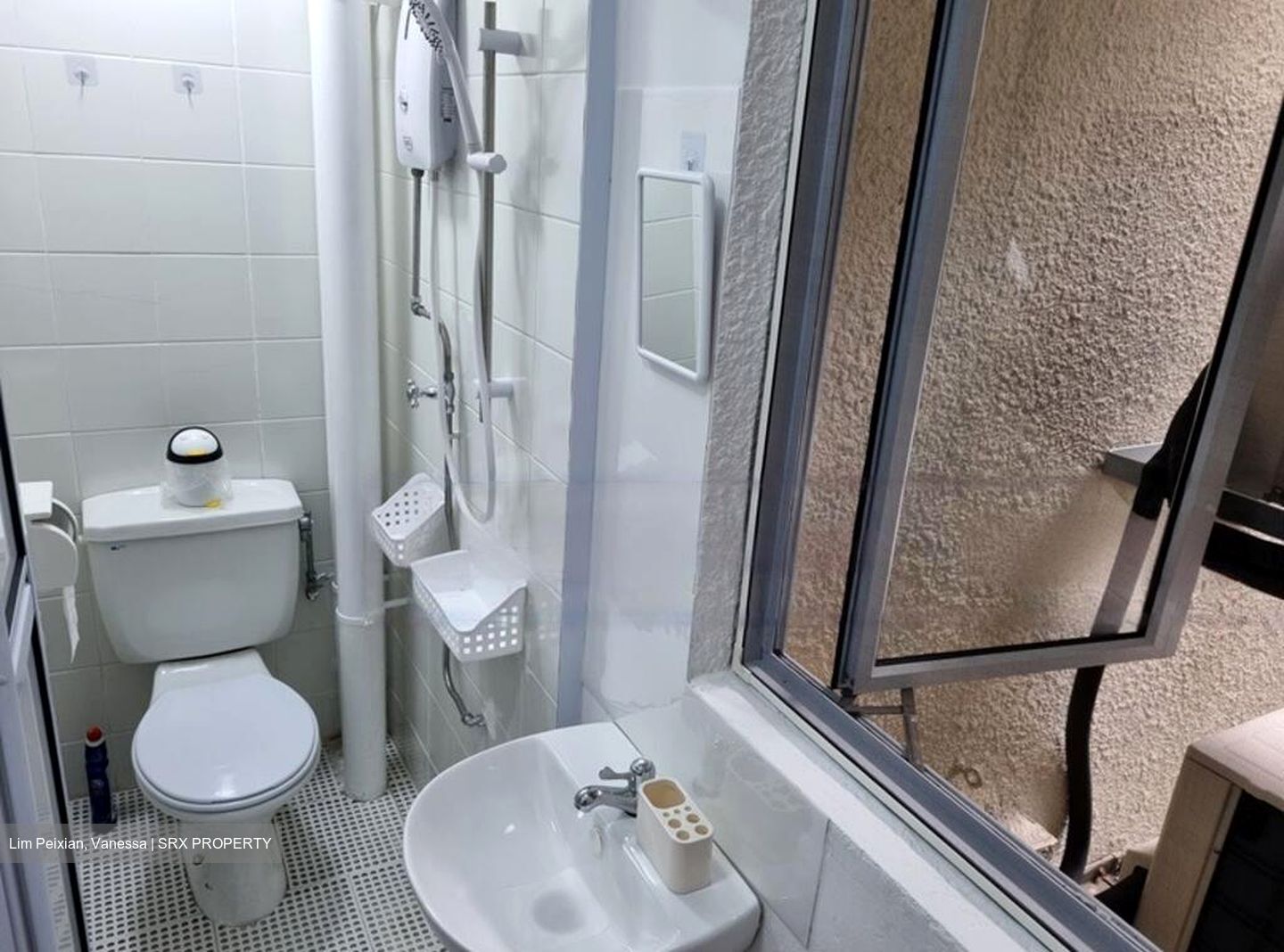 Hazel Park Condominium (D23), Condominium #481841131